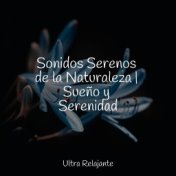 Sonidos Serenos de la Naturaleza | Sueño y Serenidad