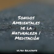 Sonidos Ambientales de la Naturaleza | Meditación