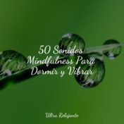 50 Sonidos Mindfulness Para Dormir y Vibrar