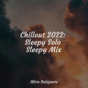Chillout 2022: Sleepy Solo Sleepy Mix