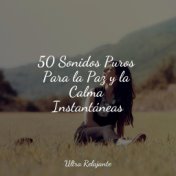 50 Sonidos Puros Para la Paz y la Calma Instantáneas