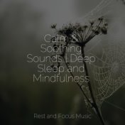 Calm & Soothing Sounds | Deep Sleep and Mindfulness