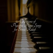 50 Collections of Peaceful Piano Songs for Stress Relief