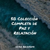 50 Colección Completa de Paz y Relajación