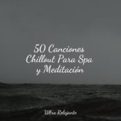 50 Canciones Chillout Para Spa y Meditación