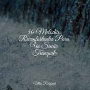 50 Melodías Reconfortantes Para Un Sueño Tranquilo
