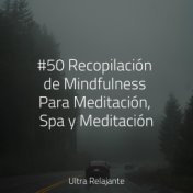 #50 Recopilación de Mindfulness Para Meditación, Spa y Meditación