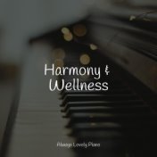 Harmony & Wellness