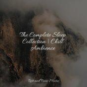 The Complete Sleep Collection | Chill Ambience