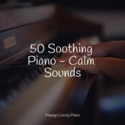 50 Soothing Piano - Calm Sounds