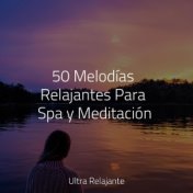 50 Melodías Relajantes Para Spa y Meditación