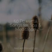 50 Powerful Songs for Spa & Meditation