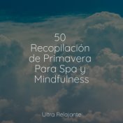 50 Recopilación de Primavera Para Spa y Mindfulness