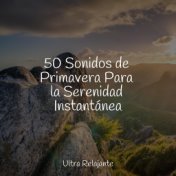 50 Sonidos de Primavera Para la Serenidad Instantánea