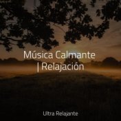 Música Calmante | Relajación