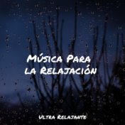 Música Para la Relajación