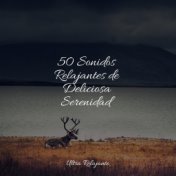 50 Sonidos Relajantes de Deliciosa Serenidad
