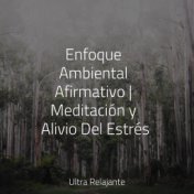 Enfoque Ambiental Afirmativo | Meditación y Alivio Del Estrés