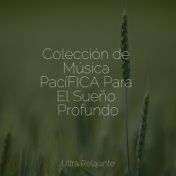 Colección de Música PacíFICA Para El Sueño Profundo