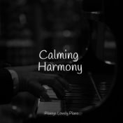 Calming Harmony