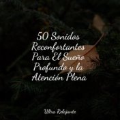 50 Sonidos Reconfortantes Para El Sueño Profundo y la Atención Plena