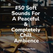 #50 Soft Sounds For A Peaceful & Completely Chill Ambience