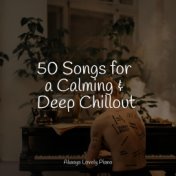 50 Songs for a Calming & Deep Chillout