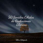 50 Sonidos CAídos de Grabaciones Blancas