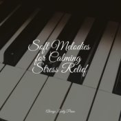 Soft Melodies for Calming Stress Relief