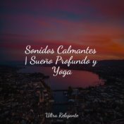 Sonidos Calmantes | Sueño Profundo y Yoga