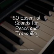 50 Essential Sounds for Peace and Tranquility
