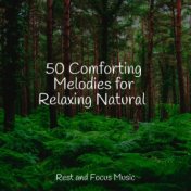 50 Comforting Melodies for Relaxing Natural