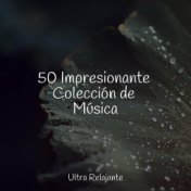 50 Impresionante Colección de Música