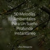 50 Melodías Ambientales Para Un Sueño Profundo Instantáneo