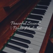 Peaceful Sounds | Piano Melodies