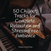 50 Chillout Tracks for Complete Relaxation and Stress-Free Ambience
