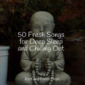 50 Fresh Songs for Deep Sleep and Chilling Out