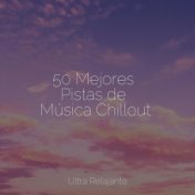 50 Mejores Pistas de Música Chillout