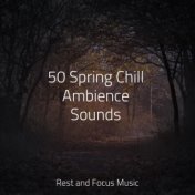 50 Spring Chill Ambience Sounds