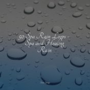 50 Spa Rain Loops - Spa and Healing Rain