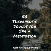 50 Therapeutic Sounds for Spa & Meditation