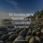 50 Sonidos de la Naturaleza y Colección de Ambiente
