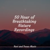 50 Hour of Breathtaking Nature Recordings