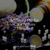 50 Sleep Mix for Calm Nature Melodies