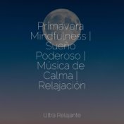 Primavera Mindfulness | Sueño Poderoso | Música de Calma | Relajación