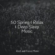 50 Spring & Relax & Deep Sleep Music