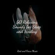 50 Relaxing Sounds for Sleep and Healing