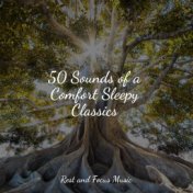 50 Sounds of a Comfort Sleepy Classics