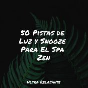 50 Pistas de Luz y Snooze Para El Spa Zen
