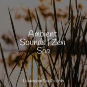 Ambient Sounds | Zen Spa